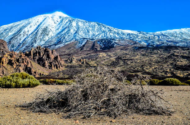 istock Desert Landscape in Volcan Teide National Park 2022690400