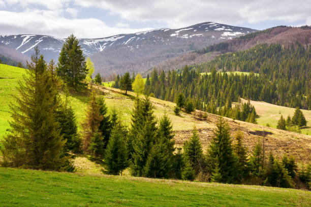 istock beautiful view of carpathian countryside in spring 2022728114