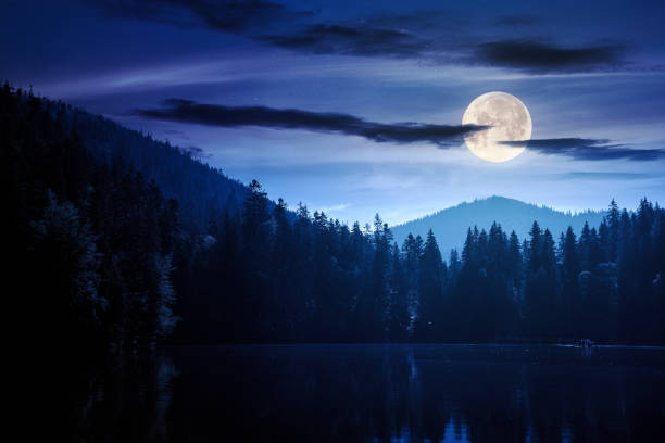 istock composite night scene of a lake among forest 2022728665