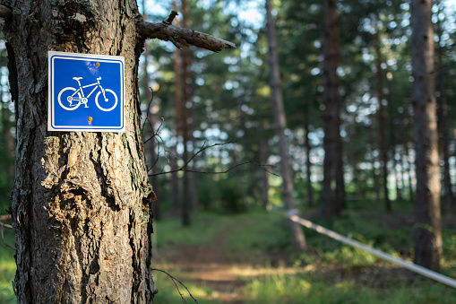 Mountain bike trail sign on a pine tree in a forest. The sign is marking a cycling race course for contestants in a competition.