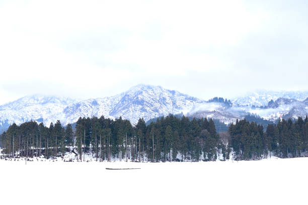 istock Japan's Niigata Snow Country's affectionate appearance 2022746731