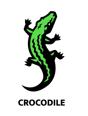Crocodile, Aligator Logo. Vector illustration.