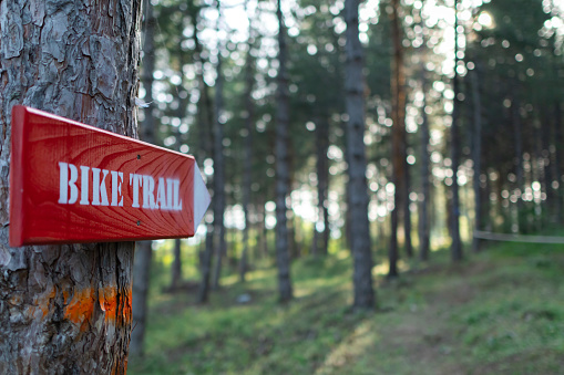 Mountain bike trail sign on a pine tree in a forest. The sign is marking a cycling race course for contestants in a competition.