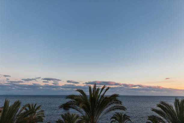 Beautiful ocean view with blue sky, palm trees and ocean at sunset
