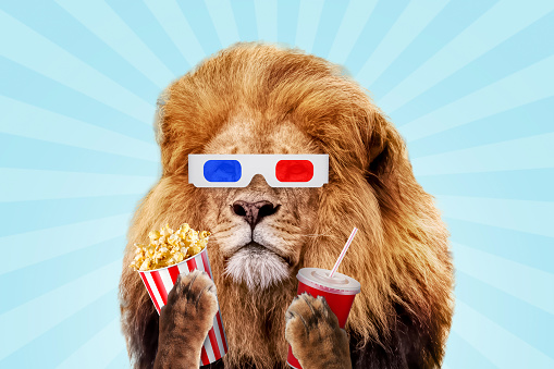 Beautiful lion with paper 3D glasses holds a cola and popcorn and watches a movie on a blue vintage background. Movie premiere, creative idea. Resting and watching a movie