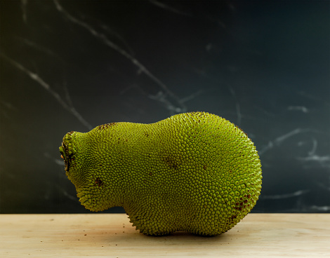 A hippopotamus-shaped jackfruit on a chopping board with black black-grey-marbled background.