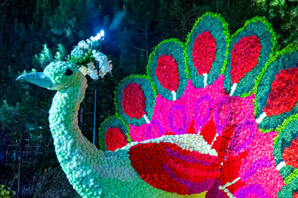 istock Large Art Peacock in Baguio Philippines 2022805520