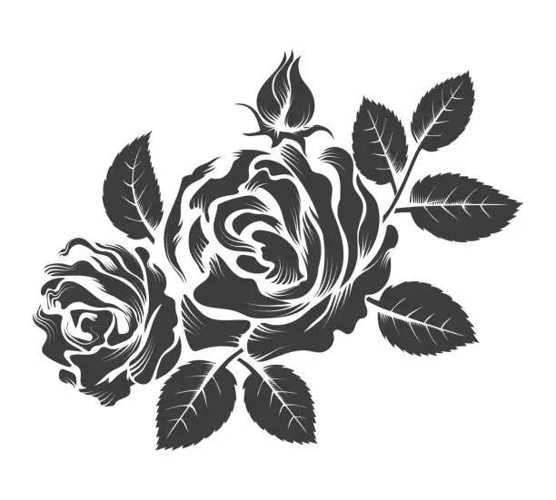 Vector illustration of Hand drawn roses branch