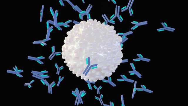 3d animation of antigens and antibodies