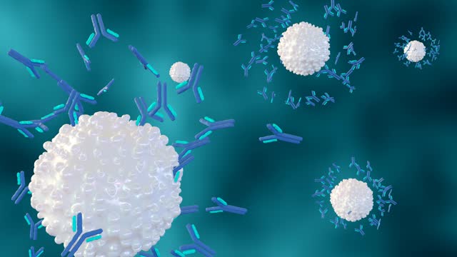 3d animation of antigens and antibodies