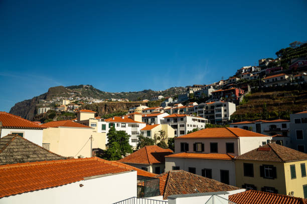 View of Camara de Lobos and marina in Madeira