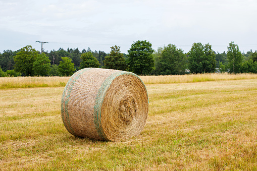 Straw bales on harvested field in Pennsylvania. A water tower and mountains visible on the horizon against a blue sky.