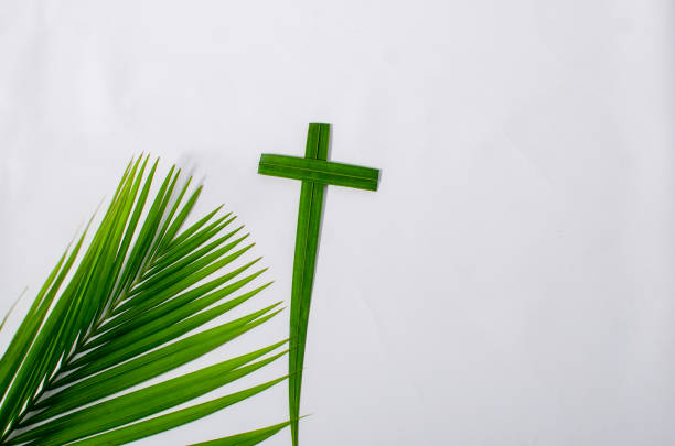 istock Palm cross and palm leaves, white background and copy space 2022846771
