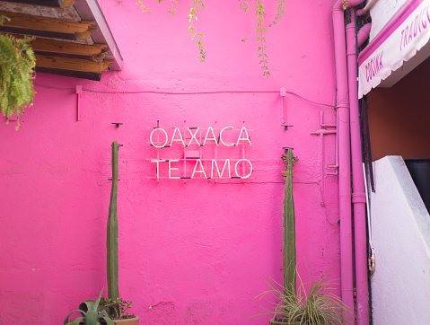 Oaxaca, Mexico: A colorful pink wall with tall cactus and a sign for the restaurant Oaxaca Ti Amo in downtown Oaxaca.