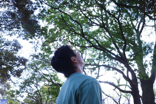 Young Japanese man in the forest/woods, feeling the nature around them. \nFeeling Nature in the Forest