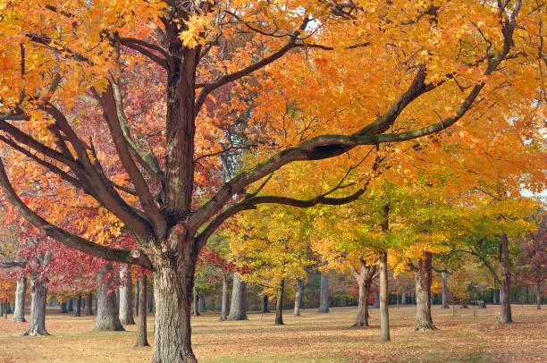 Photo of Battle Ground Battlefield, Battle Ground, Indiana