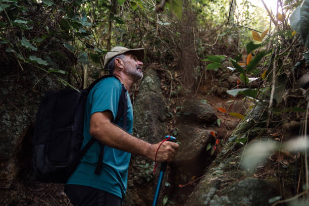 istock Senior man hiking through the forest 2022886402