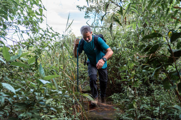 istock Senior man hiking through the forest 2022887789