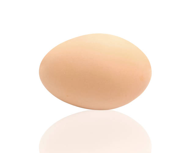 istock Close up of an egg isolated on white background 2022904664