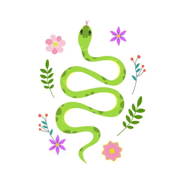 Vector illustration of Cute green snake surrounded by spring flowers. Kawaii character in cartoon style top view. Illustration isolated on white background.