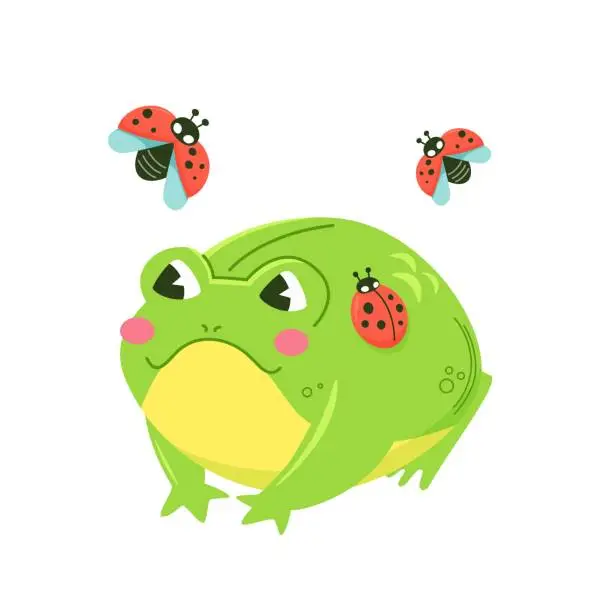 Vector illustration of Cute green frog surrounded by ladybugs. Kawaii character in cartoon style. Illustration isolated.