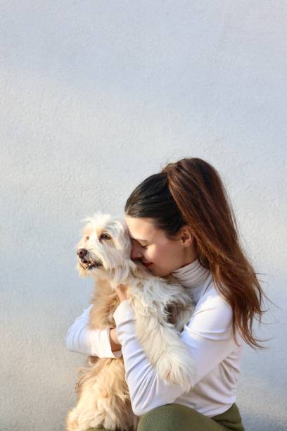 istock Girl and Dog 2022906812