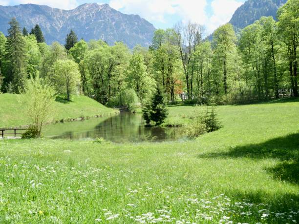 istock Enchanted Verdancy: A Symphony of Greens in Nature's Embrace 2022907332
