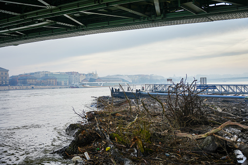 Budapest, Hungary - December 30, 2023: Tree debris stuck under Liberty bridge in in Danube after flooding.