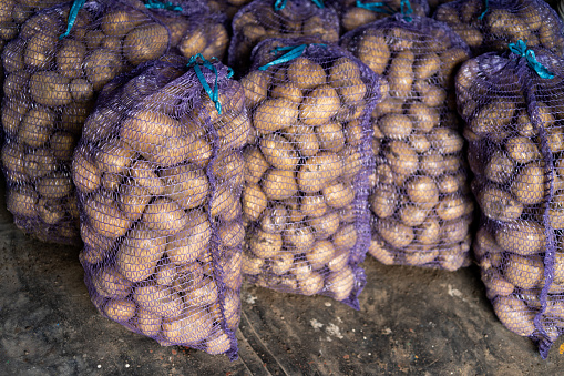 Multiple bags filled with potatoes. The bags are made of a purple mesh material and are tightly packed, showcasing the potatoes inside.