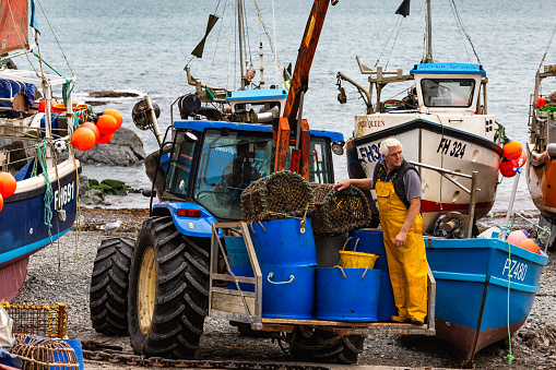 A fisherman unloading the catch of crabs onto a tractor in the village of Cadgwith, Cornwall
