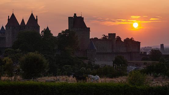 Carcassonne , France - July 14, 2013: A pair of horses in a field with a backdrop of the medieval Carcassonne Castle and a setting sun