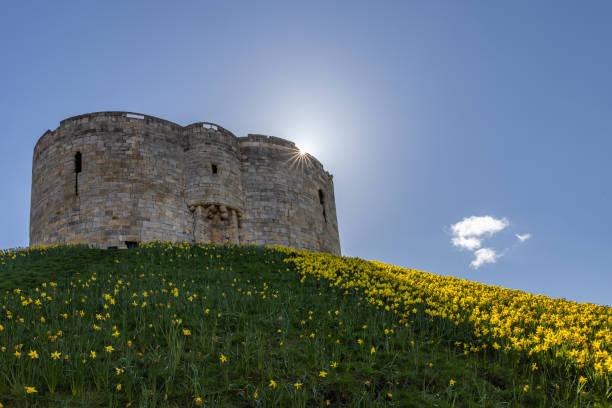 zamek clifford's tower, york, anglia - clifford zdjęcia i obrazy z banku zdjęć