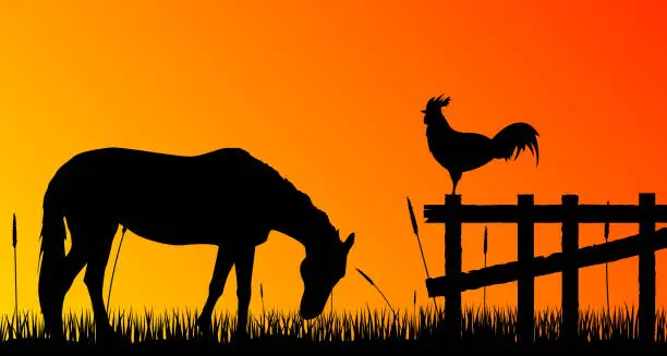 Vector illustration of Countryside Horse Silhouette with Fence Outdoors