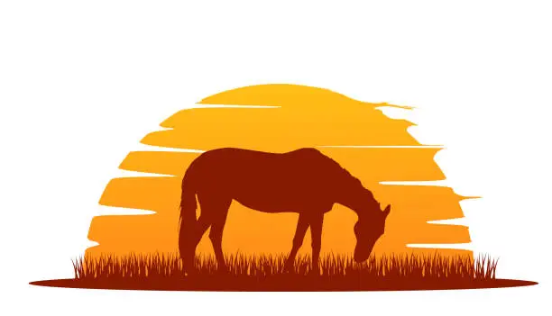 Vector illustration of Grazing Horse Silhouette in Sunrise