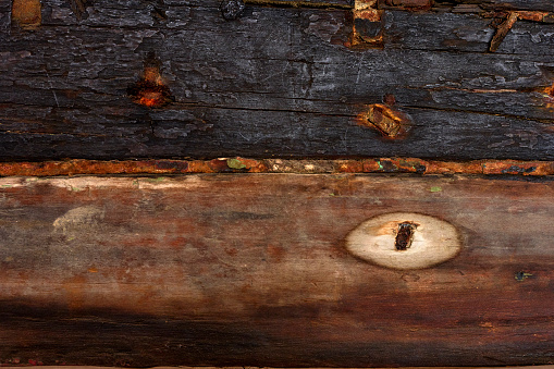 Isolated Hole in Wood Plank