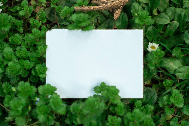 istock Blank paper note on green grass, top view with copy space 2022961400