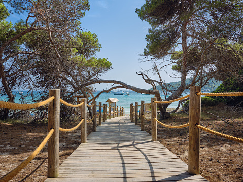 Wide-angle view of a wooden boardwalk crossing the protected pine tree grove which surrounds the beach of Platja de ses Salines (also known as Playa de las Salinas), probably the most emblematic sandy shore of Ibiza. The warm light of a Mediterranean summer afternoon, a perfectly clear sky, a glimpse of the turquoise and crystal-clear waters for which the beach is known, sailing boats and yachts rocking gently on the waves, lush pine trees and Mediterranean-type shrubs, a thick and soft layer of pine needles. High level of detail, natural rendition, realistic feel. Developed from RAW.