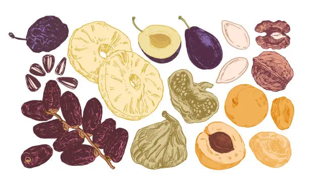 Vector illustration of Nuts and dried fruits collection set