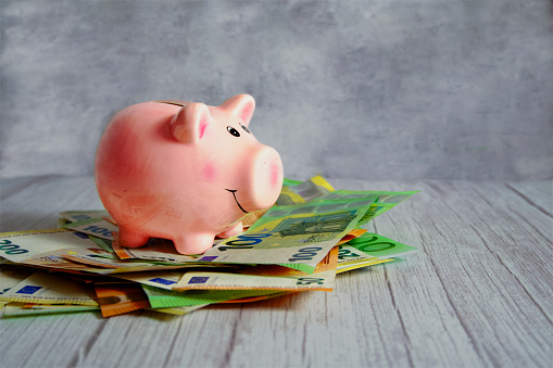 Piggy bank sitting on a pile of banknotes, horizontal