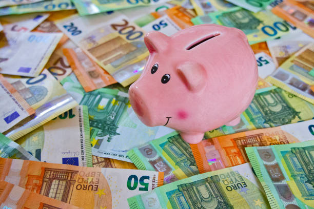 istock Piggy bank on many banknotes 2022977972
