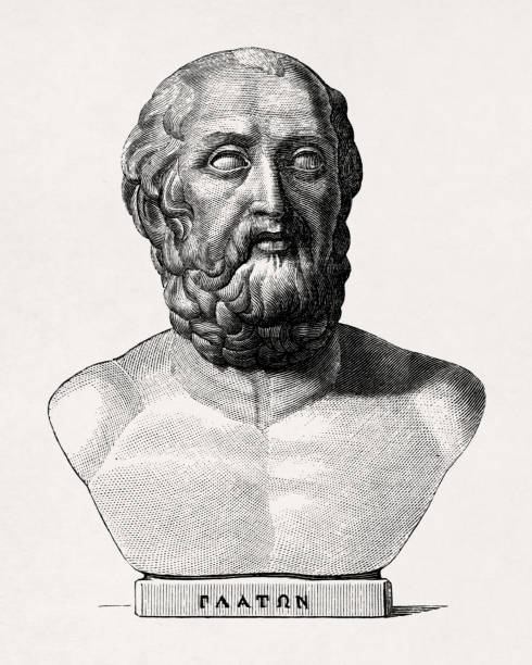 ilustrações de stock, clip art, desenhos animados e ícones de bust of the greek philosopher plato after visconti - plato philosopher statue greek culture