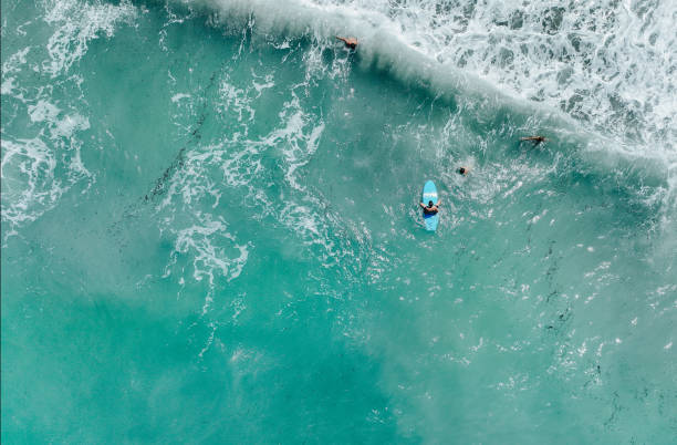 istock Young surfers are trying to catch the waves 2023004282