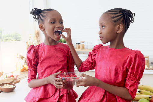 African twin girl sister with curly hair braid African hairstyle eating fresh raspberry and blueberry together in kitchen. Happy kid sibling feeding each other by fruit. Cute children in lovely family