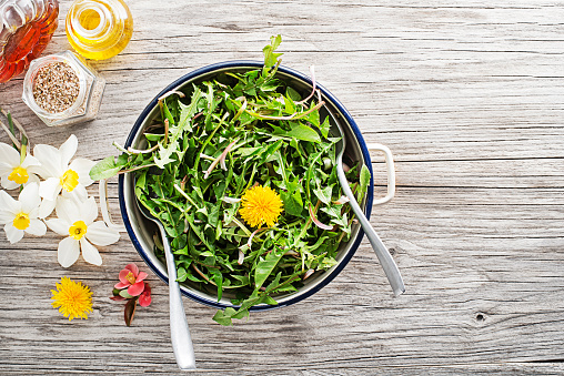 Fresh dandelion salad with dressing. Healthy spring food concept