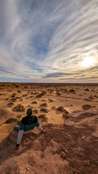 istock The red oasis Timimoun in Algeria 2023019152