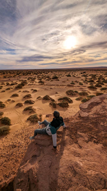 istock The red oasis Timimoun in Algeria 2023019155