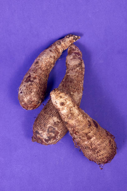 closeup of taro root vegetable, eddo malanga, purple background - chinese eddo zdjęcia i obrazy z banku zdjęć