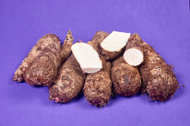 closeup of taro root vegetable, eddo malanga, purple background - chinese eddo zdjęcia i obrazy z banku zdjęć