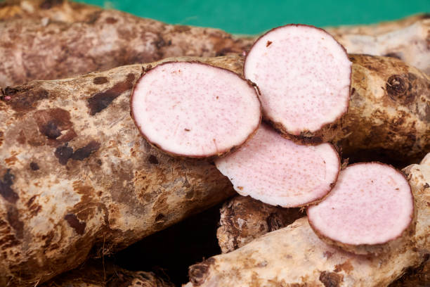 closeup of taro root vegetable, eddo malanga, green background - chinese eddo - fotografias e filmes do acervo