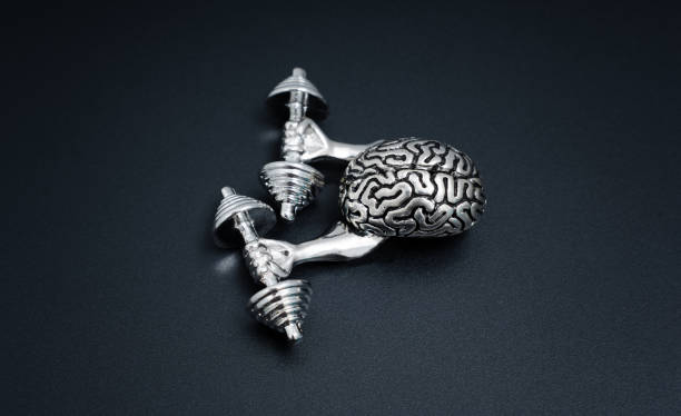 istock Steel Human Brain Model Lifts Dumbbells 2023057718